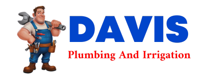 Trusted plumber in NOONAN